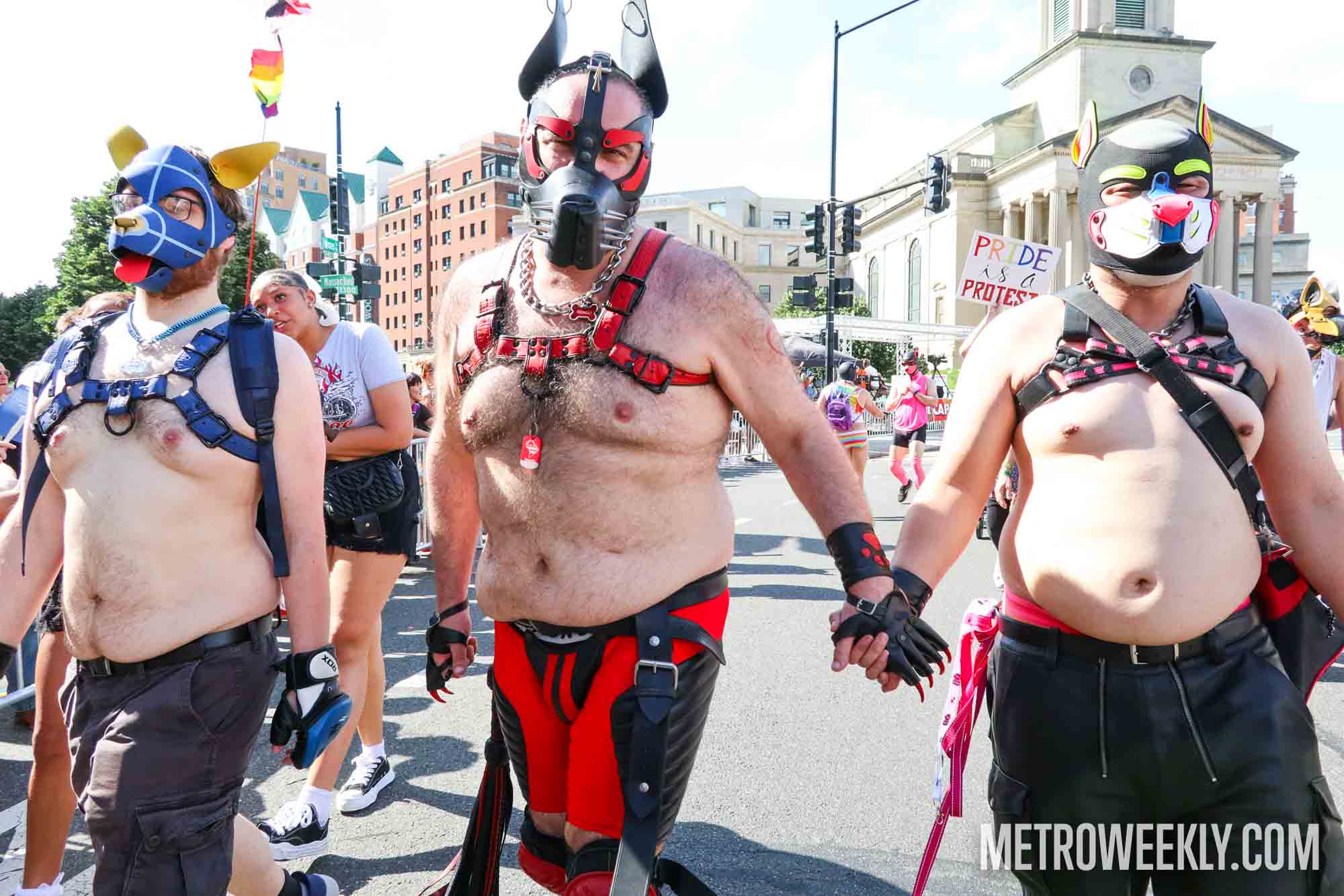 #69 of 216 : 2025-06-13_3002_177392.jpg