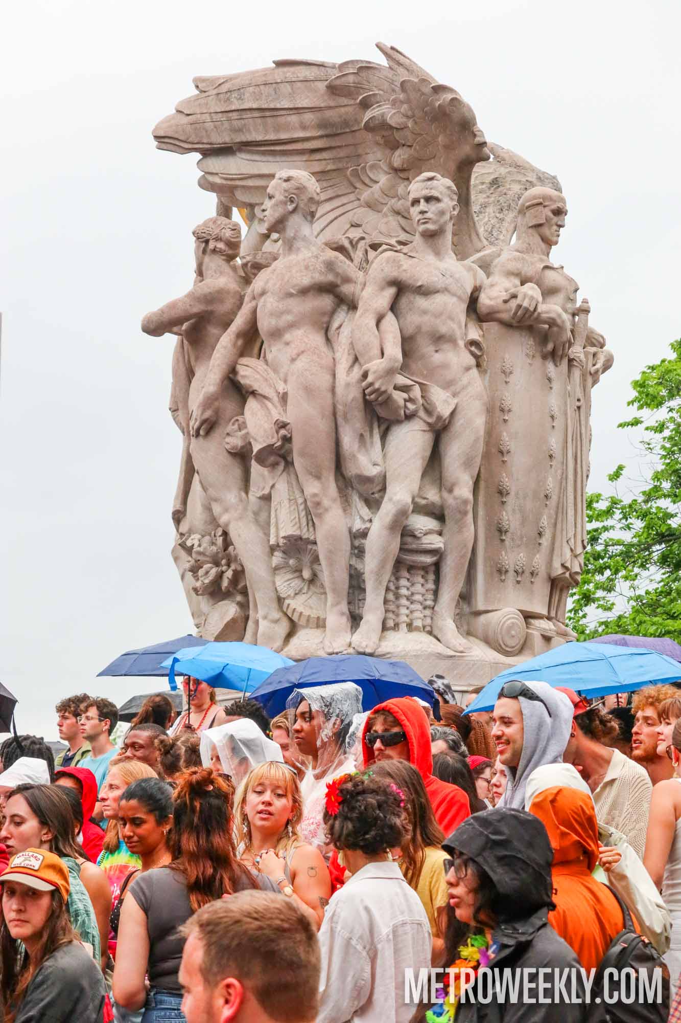 #61 of 229 : 2025-06-14_3006_177747.jpg