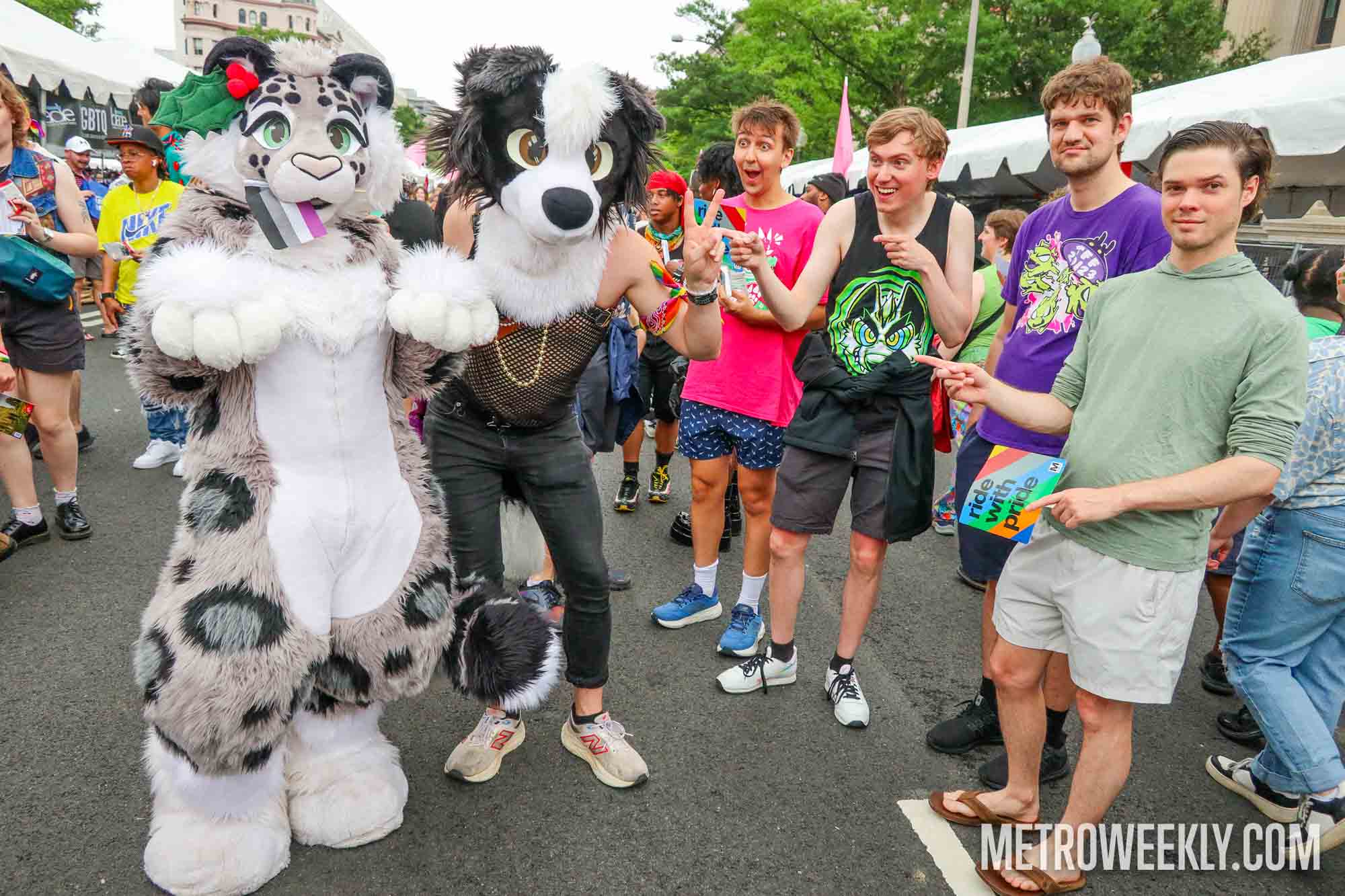 #179 of 229 : 2025-06-14_3006_177865.jpg