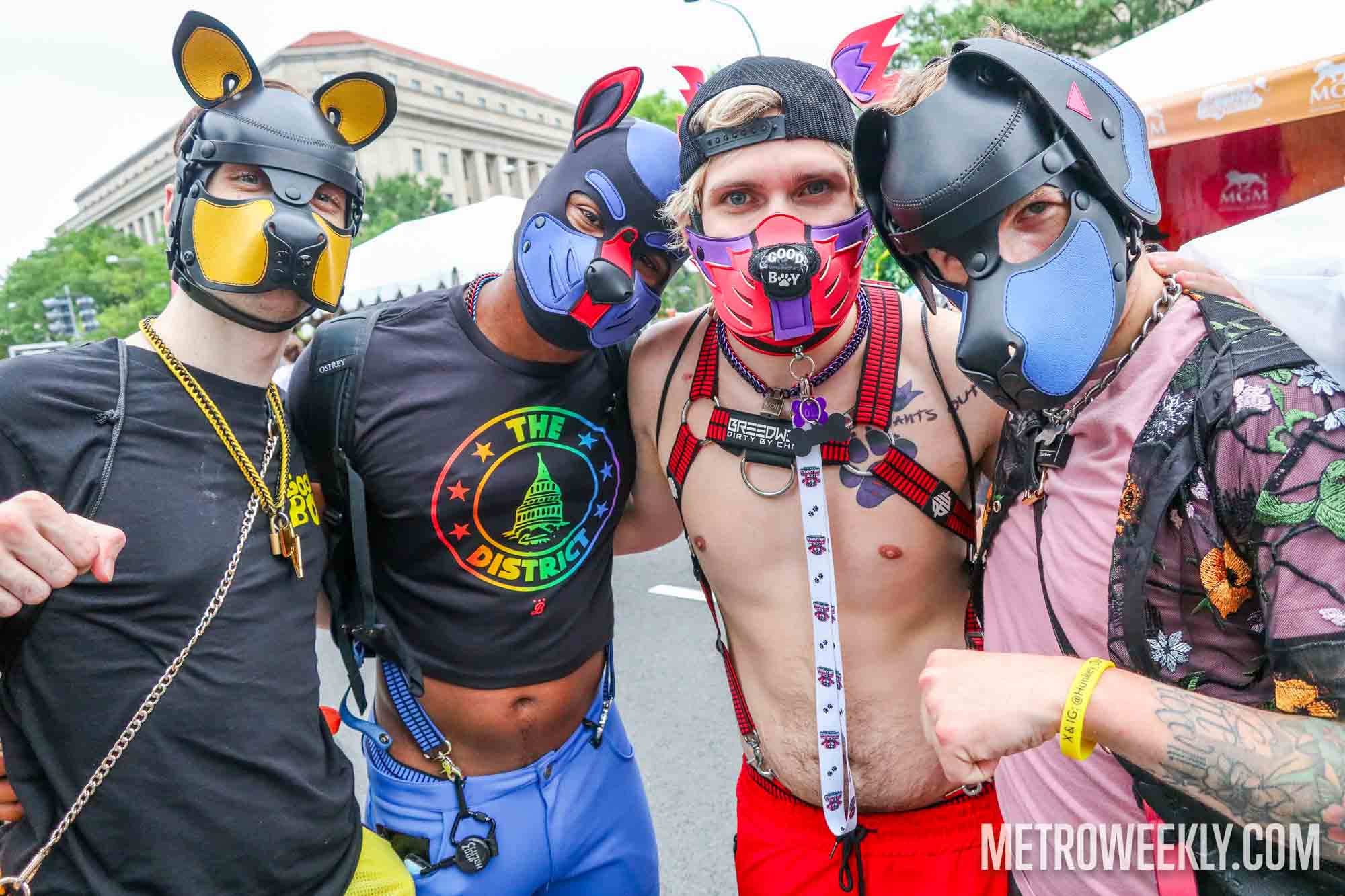 #226 of 229 : 2025-06-14_3006_177912.jpg