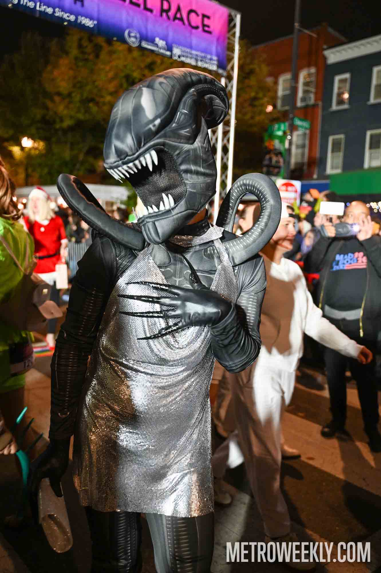 #40 of 46 : 2025-10-31_3015_178613.jpg