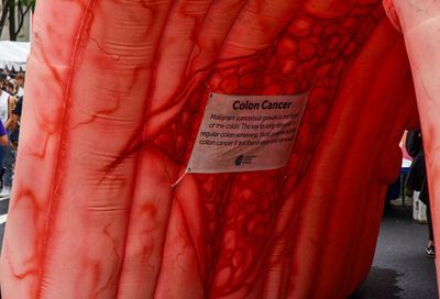 WorldPride Festival + Concert by Randy Shulman #17